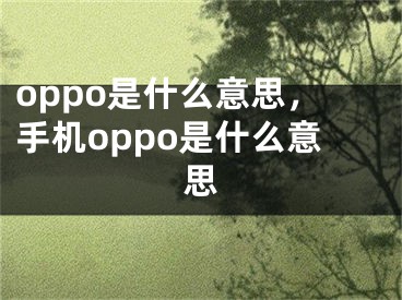 oppo是什么意思，手機(jī)oppo是什么意思