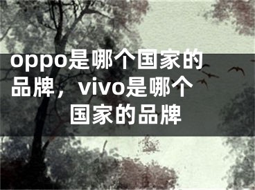 oppo是哪個(gè)國(guó)家的品牌，vivo是哪個(gè)國(guó)家的品牌