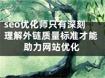 seo優(yōu)化師只有深刻理解外鏈質(zhì)量標準才能助力網(wǎng)站優(yōu)化