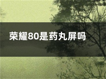 榮耀80是藥丸屏嗎