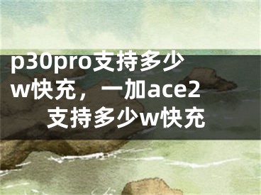 p30pro支持多少w快充，一加ace2支持多少w快充