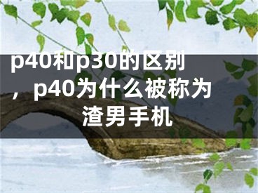 p40和p30的區(qū)別，p40為什么被稱為渣男手機(jī)