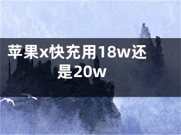 蘋(píng)果x快充用18w還是20w