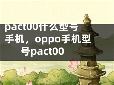 pact00什么型號手機(jī)，oppo手機(jī)型號pact00