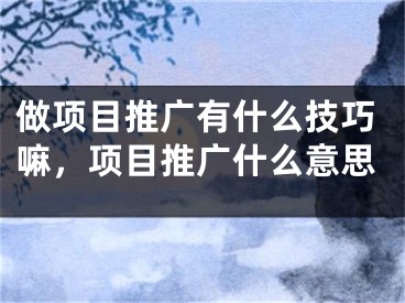 做項目推廣有什么技巧嘛，項目推廣什么意思