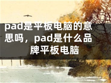 pad是平板電腦的意思嗎，pad是什么品牌平板電腦