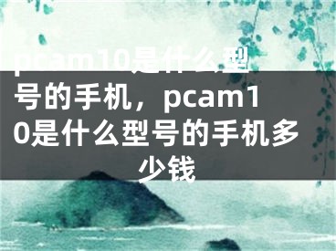 pcam10是什么型號(hào)的手機(jī)，pcam10是什么型號(hào)的手機(jī)多少錢