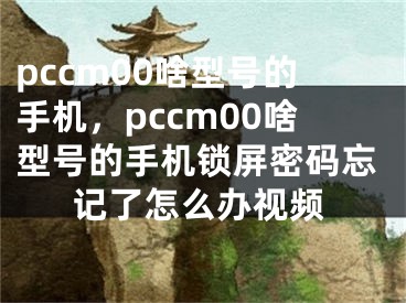 pccm00啥型號的手機(jī)，pccm00啥型號的手機(jī)鎖屏密碼忘記了怎么辦視頻