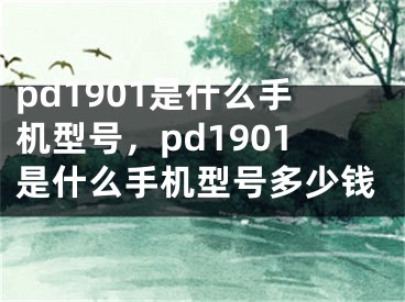 pd1901是什么手機型號，pd1901是什么手機型號多少錢