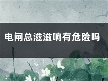 電閘總滋滋響有危險(xiǎn)嗎