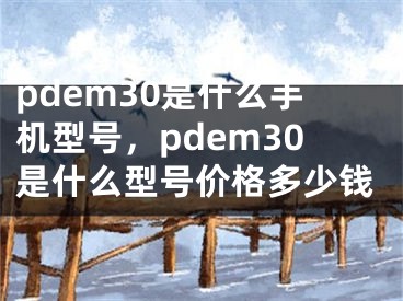 pdem30是什么手機(jī)型號(hào)，pdem30是什么型號(hào)價(jià)格多少錢