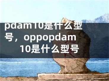 pdam10是什么型號，oppopdam10是什么型號