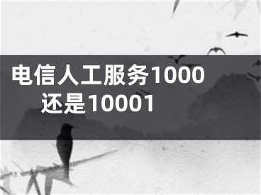 電信人工服務(wù)1000 還是10001