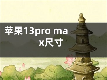 蘋果13pro max尺寸