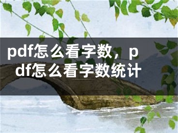 pdf怎么看字數(shù)，pdf怎么看字數(shù)統(tǒng)計