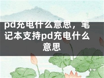 pd充電什么意思，筆記本支持pd充電什么意思