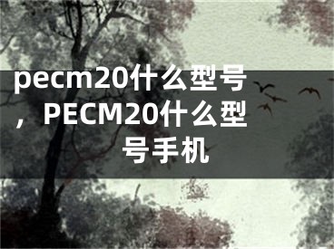 pecm20什么型號，PECM20什么型號手機