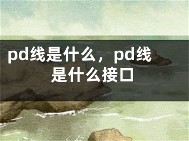 pd線是什么，pd線是什么接口