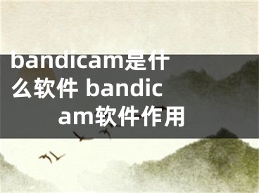 bandicam是什么軟件 bandicam軟件作用