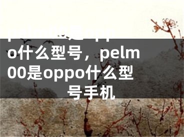 pelm00是oppo什么型號(hào)，pelm00是oppo什么型號(hào)手機(jī)