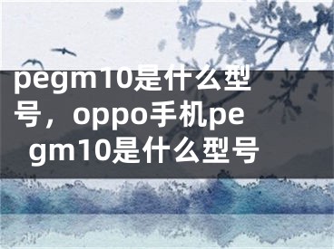 pegm10是什么型號，oppo手機pegm10是什么型號