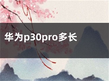 華為p30pro多長(zhǎng)