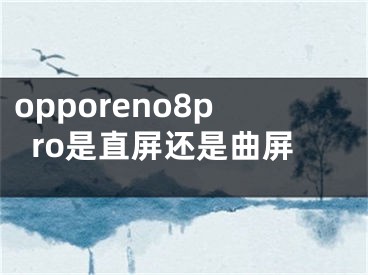 opporeno8pro是直屏還是曲屏