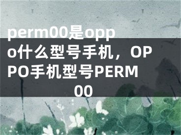 perm00是oppo什么型號手機，OPPO手機型號PERM00