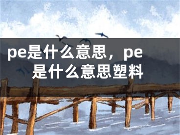 pe是什么意思，pe是什么意思塑料