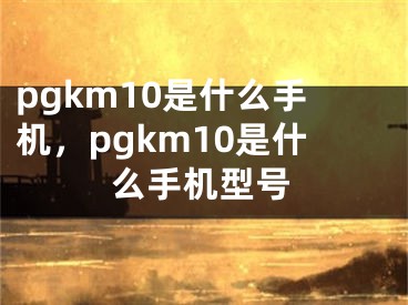 pgkm10是什么手機，pgkm10是什么手機型號