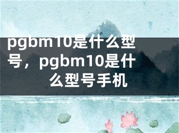 pgbm10是什么型號(hào)，pgbm10是什么型號(hào)手機(jī)