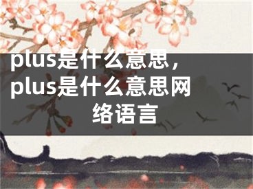 plus是什么意思，plus是什么意思網絡語言