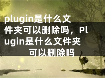 plugin是什么文件夾可以刪除嗎，Plugin是什么文件夾可以刪除嗎