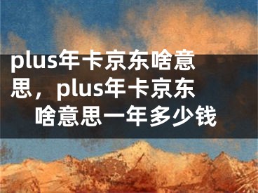 plus年卡京東啥意思，plus年卡京東啥意思一年多少錢