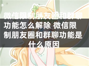 微信限制朋友圈和群聊功能怎么解除 微信限制朋友圈和群聊功能是什么原因