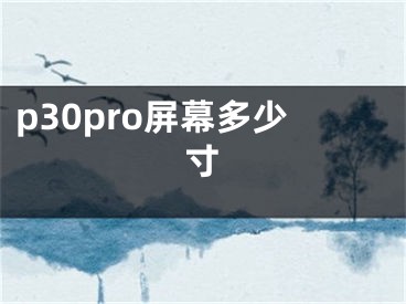 p30pro屏幕多少寸