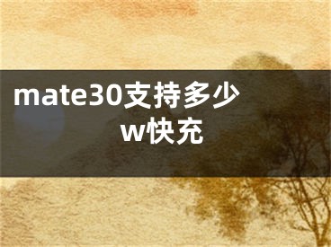 mate30支持多少w快充