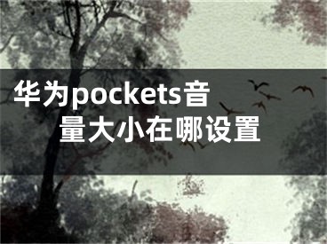 華為pockets音量大小在哪設(shè)置