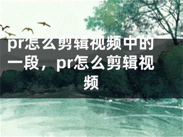 pr怎么剪輯視頻中的一段，pr怎么剪輯視頻