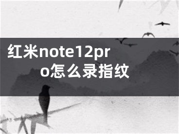 紅米note12pro怎么錄指紋