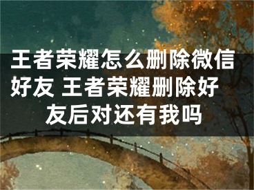 王者榮耀怎么刪除微信好友 王者榮耀刪除好友后對(duì)還有我嗎