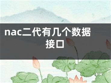 nac二代有幾個數(shù)據(jù)接口