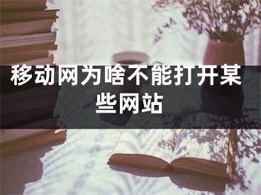 移動網(wǎng)為啥不能打開某些網(wǎng)站