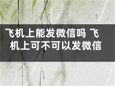 飛機(jī)上能發(fā)微信嗎 飛機(jī)上可不可以發(fā)微信