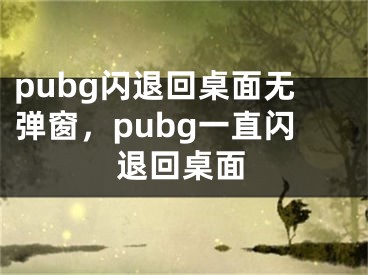 pubg閃退回桌面無(wú)彈窗，pubg一直閃退回桌面