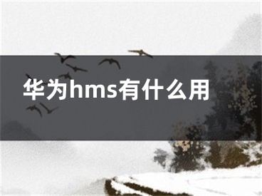 華為hms有什么用