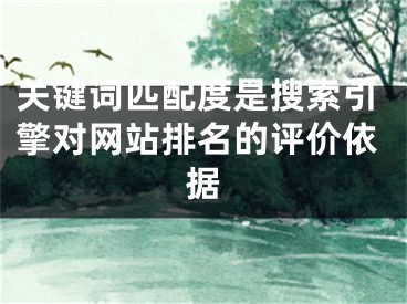 關(guān)鍵詞匹配度是搜索引擎對網(wǎng)站排名的評價依據(jù)