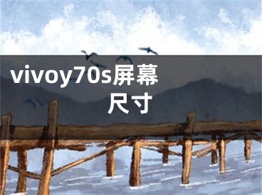 vivoy70s屏幕尺寸