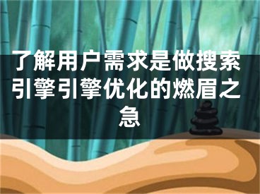 了解用戶(hù)需求是做搜索引擎引擎優(yōu)化的燃眉之急