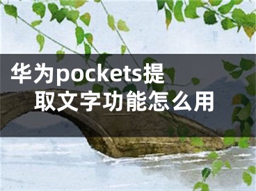 華為pockets提取文字功能怎么用